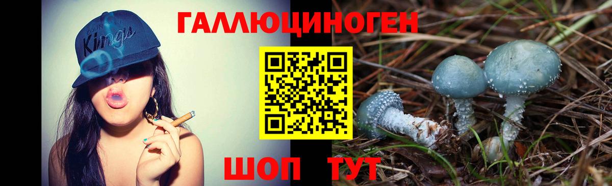 Галлюциногенные грибы Cubensis Энгельс